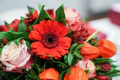 Anmeldung Graduiertenfeier