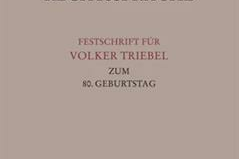 Festschrift für Volker Triebel