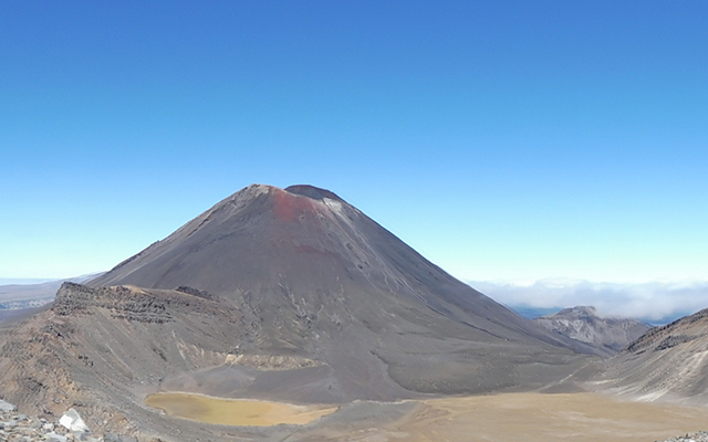 Michelle_Reuters-Neuseeland